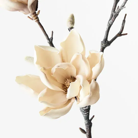 Magnolia Japanese Spray - Cream 79cm