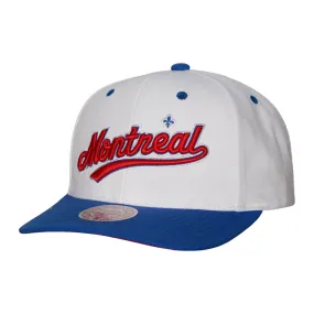 Mitchell & Ness MLB Evergreen Pro Snapback Coop Expos (White)